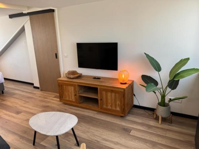Casa Del Cisne 3 Apart otel Zandvoort Dış mekan fotoğraf