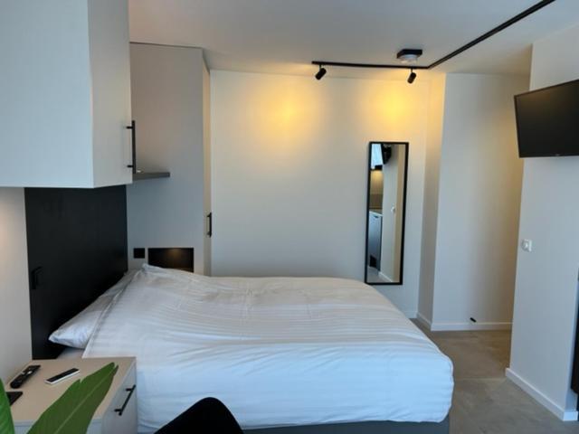Casa Del Cisne 3 Apart otel Zandvoort Dış mekan fotoğraf